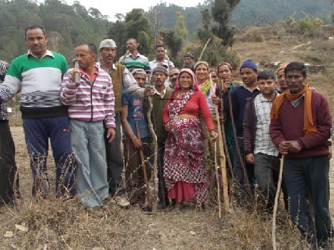 Leopard cubs climbed the tree surrounded by villagers